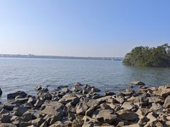 -宝安西湾红树林湿地公园