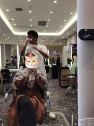 -MMby Hair Code芭曲发型