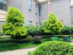 -成都安仁福朋喜来登酒店