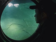 -白鹤梁水下博物馆