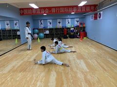 -嗨动跆拳道体能馆(菜百店)
