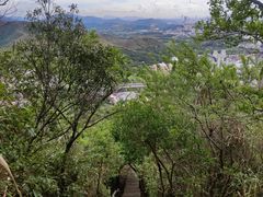 -梧桐山风景名胜区