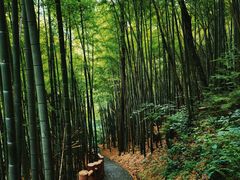 -藏龙百瀑风景区