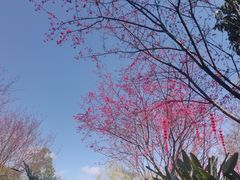 -牛岗山公园