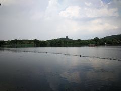 -西湖外事游船(花港观鱼码头)