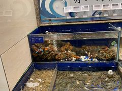 水产区-高佳庄·舟山海鲜(海景旗舰店)