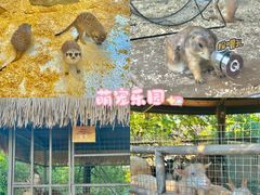 -珠海海泉湾神秘岛亲子乐园