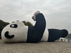 -苏州太湖国家湿地公园