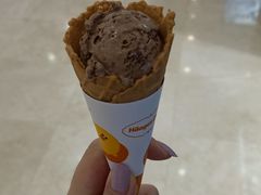 -哈根达斯(石家庄北国店)