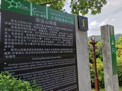 -大屏嶂森林公园