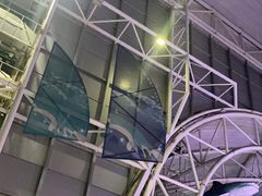 -烟台海昌鲸鲨海洋公园