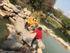-四海公园(南山区)
