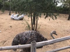 -大连森林动物园