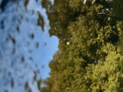 -上海科技馆(地铁站)