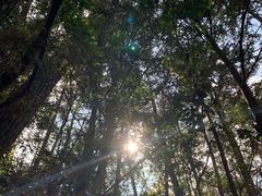 -武夷山风景名胜区-虎啸岩