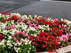 -东京都厅舍