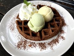 双球冰淇淋配华夫饼-莓园冰淇淋店