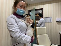 -宠爱国际动物医院·疑难骨科·心肾内科·皮肤科(太阳宫店)