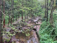 -青城山