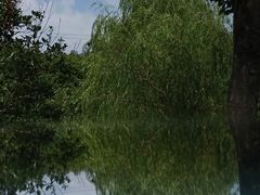 -泰煌鸡·上海白斩鸡·鸡汤面(万航店)