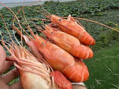 -七的湖·晚芳亭·阳澄湖农家菜·大闸蟹(莲花岛店)