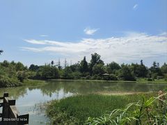 -桤木河湿地公园