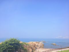 -小麦岛公园
