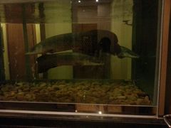 -肇庆奥威斯酒店