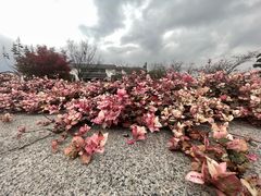 -径山寺