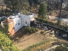 -三鹰之森吉卜力美术馆