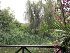 -茅庐·川粤精品私房菜(金沙遗址店)