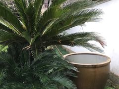 -白鹿洞书院