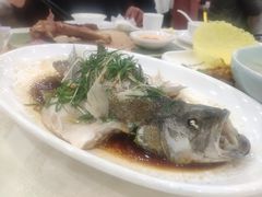 -海晖酒楼·顺德鱼生(荣华店)