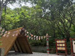 -呀诺达热带雨林