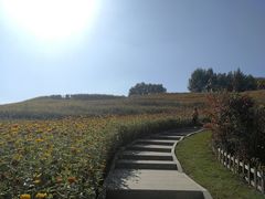 -长春世界雕塑园冰雪艺术天地