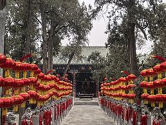 -关林