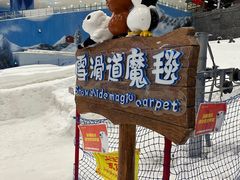 -湘江欢乐城欢乐雪域