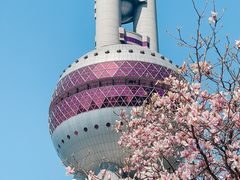 -东方明珠广播电视塔