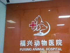 -瑞派福兴宠物医院犬猫全科·骨科·中西医结合(河东店)