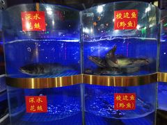 水产区-蛙一刀·麻椒鱼火锅(金仙桥店)