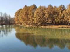 -上海海湾国家森林公园