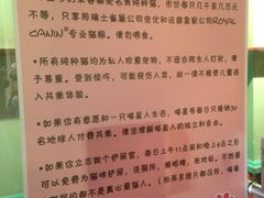 -猫咪博物馆(顶澳仔猫街店)