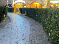 -普拉那啤酒坊Paulaner(凯宾斯基饭店)