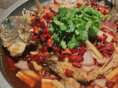 -新渝城·川菜·火锅(区庄店)