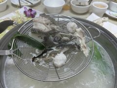 -源港渔村-中山脆肉鲩(博罗店)