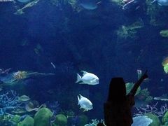 -暹罗海洋世界