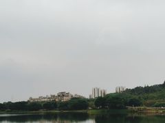 -广东花都湖国家湿地公园