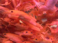 -华声天桥民俗文化园