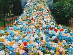 -上海共青森林公园