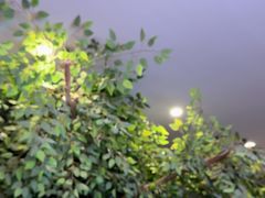 -天堂疯人院·沉浸式实景演绎密室